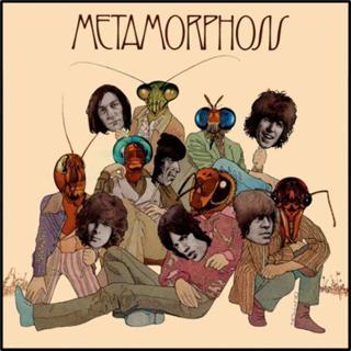 The Rolling Stones Metamorphosis(Standard Black Vinyl) Plak - The Rolling Stones