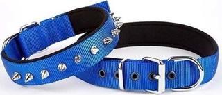 Doggie Comfort Dokuma Çivili Köpek Boyun Tasması Large Mavi 2.5x42-50 Cm