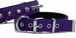 Doggie Konfor Dokuma Çivili Köpek Boyun Tasması Mor 2,5x42-50 Cm