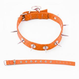 Dokuma Çivili Köpek Boyun Tasması - 4*70 cm - Turuncu