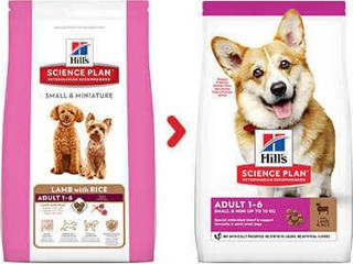 Hill's Adult Small Küçük Irk Kuzulu Yetişkin Köpek Maması 6 Kg-KONG