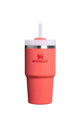 Stanley The Quencher H2.O FlowState™ Tumbler 0.6L / 20oz