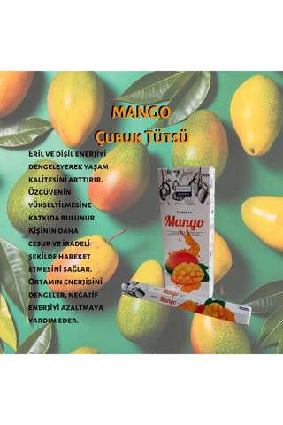 Darshan Mango Negatif Enerji Tütsüsü 20 Çubuk
