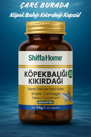 Köpek Balığı Kıkırdağı Kapsül (60 kapsül)