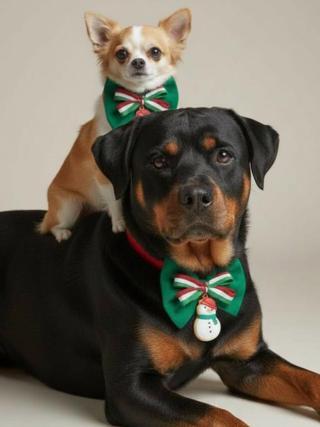 Kardan Adam Köpek Papyon Tasması |  Yeşil Kırmızı Fiyonk Boyun Aksesuarı | Noel Temalı Köpek Süsü | Orta ve Büyük Irklar