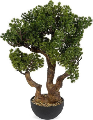 Mikasa Moor Pinus Bonsai Yapay Ağaç 75cm