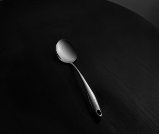 Aryıldız Protools Shiny Servis Kaşığı