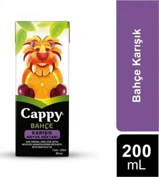 Cappy 200 ml 27'li Paket Karışık Meyve Nektarı