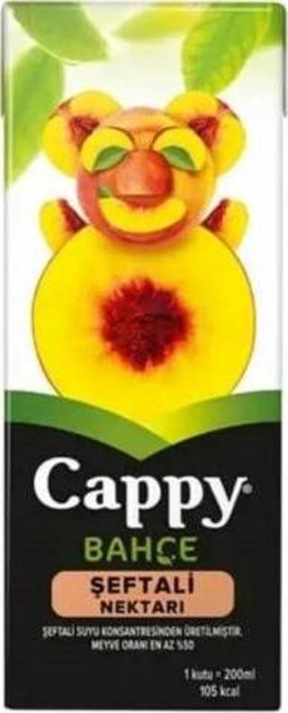 Cappy 200 ml 27'li Paket Şeftali Nektarı