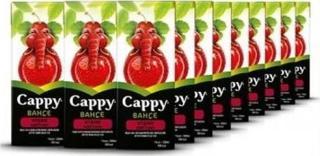 Cappy 200 ml 27'li Paket Vişne Nektarı