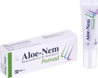 Aloe Nem Pomad Nemlendirici ve Yenileyici 