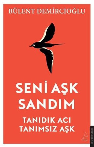 Seni Aşk Sandım - Tanıdık Acı Tanımsız Aşk - Destek Yayınları