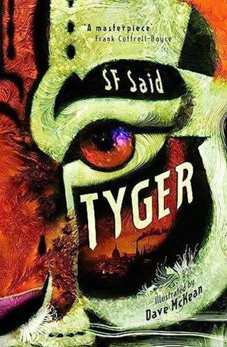 Tyger - Sf Said  - David Fickling Books
