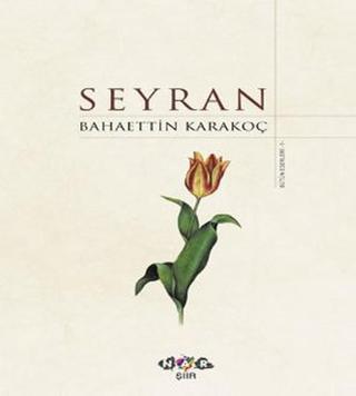 Seyran - Bahaettin Karakoç - Nar Yayınları