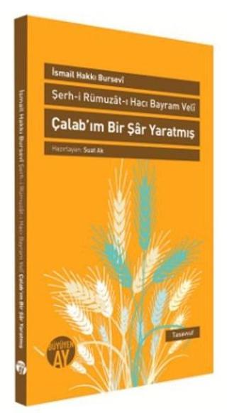 Çalab'ım Bir Şar Yaratmış - İsmail Hakkı Bursevi - Büyüyenay Yayınları