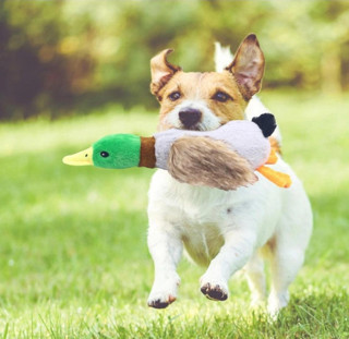 Ttt Sesli Ördek Şekilli Peluş Köpek Oyuncağı