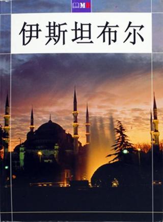 İstanbul Kitabı-Çince