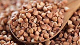 Murat Tohumculuk Eko Paket Kara Buğday Tohumu 400 Gram Tohum