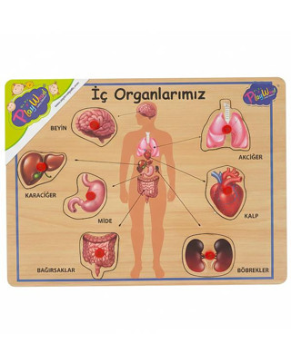 Playwood Ahşap Tutmalı Eğitici Puzzle İç Organlarımız ONY167