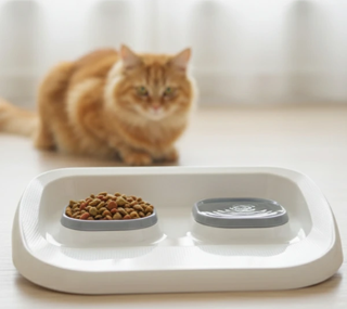 Mikopet Gri 2'si 1 Arada Mama Ve Su Kabı