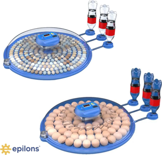 80/240 Kapasiteli Çift Viyollü Kuluçka Makinesi Kaz Ördek Tavuk Bıldırcın Kuşlar İçin