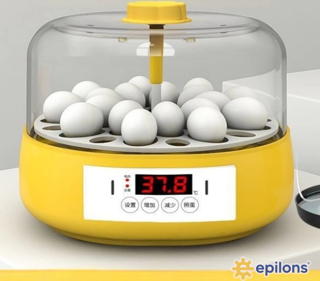 Diyarı Fırsat Mini Otomatik Ev Tipi Kuluçka: Papağan Bıldırcın Kuluçka Makinesi 18li Yumurtalı Mx-18