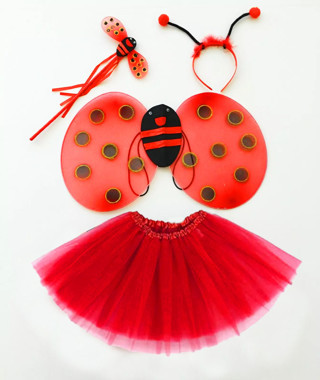 Kırmızı Uğur Böceği Kostüm Seti (Tütü, Kanat, Taç, Asa)