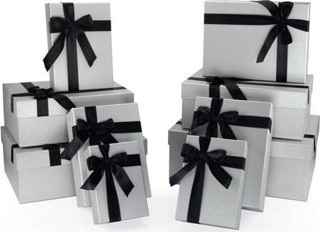 Gıpta My Silver Dikdörtgen Hediye Kutusu 10 Lu Kutu Seti BX10330