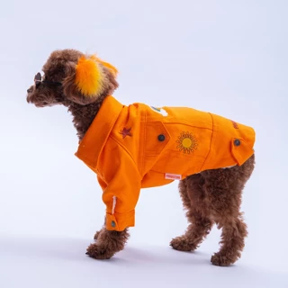 Pawstar  Turuncu Cancún Kedi Köpek Pop Ceket 