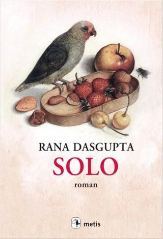 Solo - Rana Dasgupta - Metis Yayınları