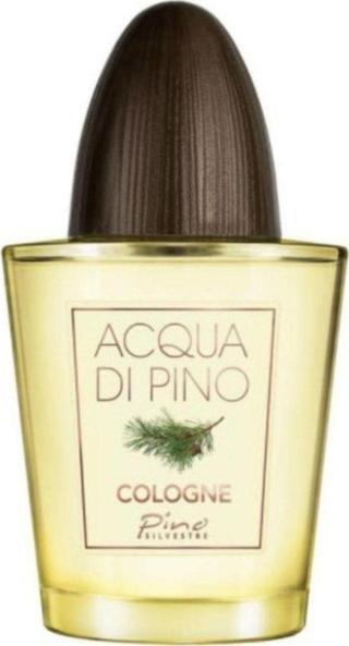 PINO SILVESTRE ACQUA DI PINO EDC CONCENTRÉE 125 ML