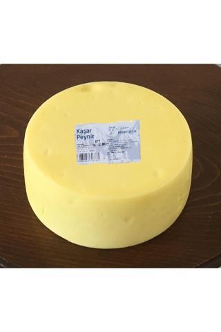 Niyazibey Çiftliği Doğal Çiftlik Sütünden Katkısız Tekerlek Taze Kaşar Peynir 2500 Gr