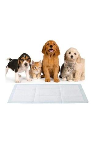 Stericare Kedi Köpek Çiş Pedi 60 x 90 cm 30''lu Paket Yatak Koruyucu Serme 1 Adet