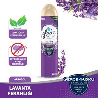 Hava Tazeleyici Aerosol, Oda Kokusu, Lavanta Ferahlığı, 300ml