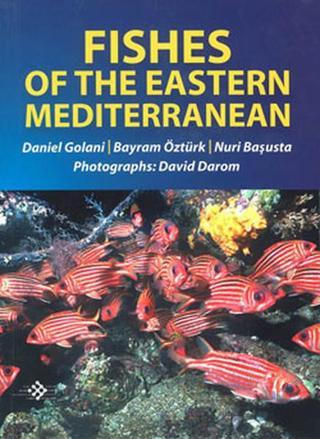 Fishes Of The Eastern Mediterranean - Kolektif  - İlke Basın Yayın