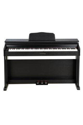 Arsenberg Adp1981B Siyah Dijital Piyano