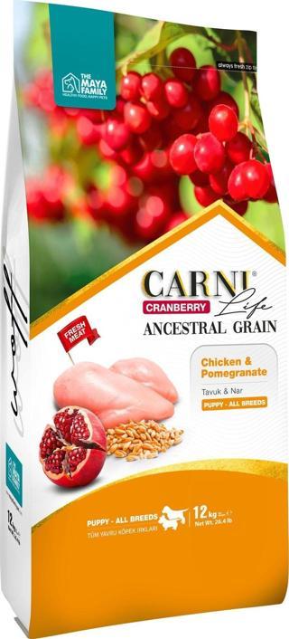 Carni Life Kızılcık Tavuklu Ve Nar Tüm Irklar Yavru Köpek Maması 12kg