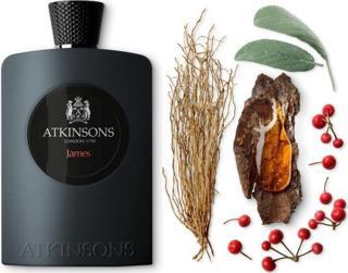 Atkinsons James EDP 100 ml Erkek Parfümü