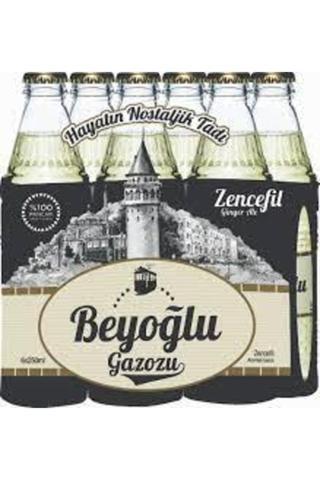 Beyoğlu Zencefil Gazoz 6 Adet