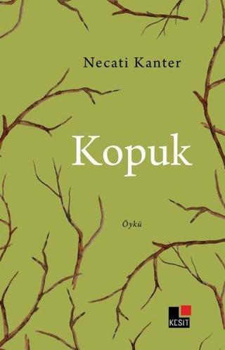 Kopuk - Necati Kanter - Kesit Yayınları