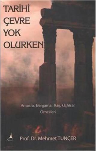 Tarihi Çevre Yok Olurken - Mehmet Tunçer - Alter Yayınları