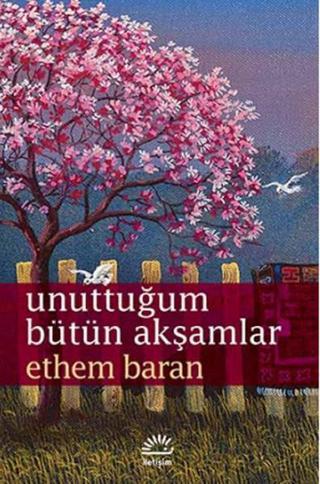 Unuttuğum Bütün Akşamlar - Ethem Baran - İletişim Yayınları