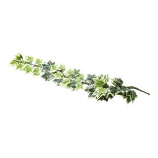 T.Concept Dekoratif Yapay Sarmaşık Yeşil Beyaz Yapraklı 100 cm