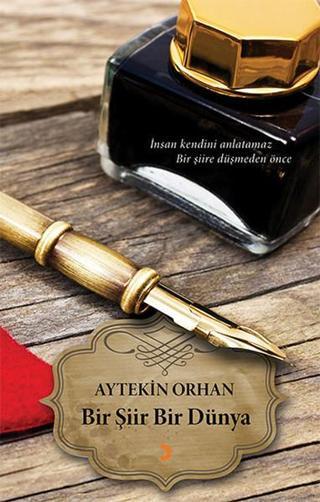 Bir Şiir Bir Dünya - Aytekin Orhan - Cinius Yayınevi