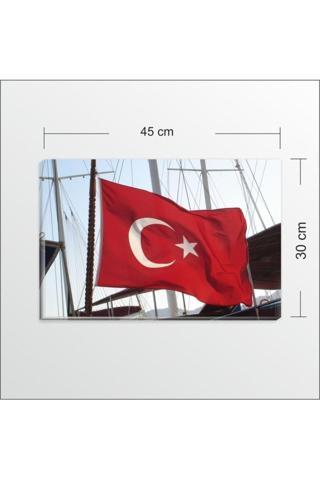 M3Decorium 30 x 45 Cm Türk Bayrağı Kanvas Tablo