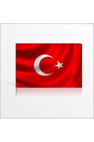 M3Decorium Dershane Devlet Dairesi Kurumlar İçin Türk Bayrağı Kanvas Tablo