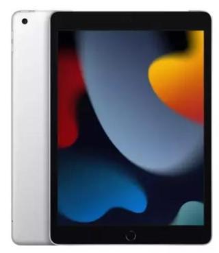 Apple iPad 9. Nesil 256 GB 10.2" Wi-Fi+Cellular Gümüş Tablet (Apple Türkiye Garantili)