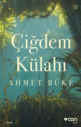 Çiğdem Külahı - Ahmet Büke - Can Yayınları