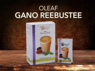 Gano Oleaf Reebustee Süt, Siyah Çay ve Ganoderma Mantarı İçeren İçecek 15 Poşet