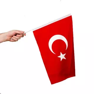 Sopalı Türk Bayrağı 40x60 cm Raşel Kumaş - 10 Adet